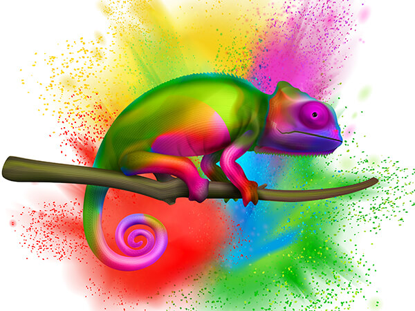 Visuel article Le pouvoir des couleurs